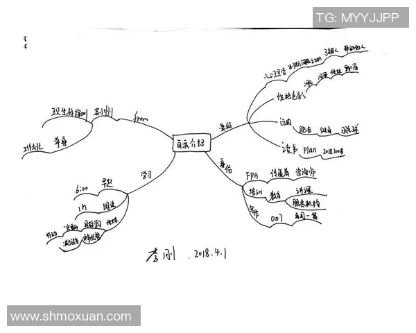 杭州羽毛球队在冠军赛中的节奏掌控与表现分析
