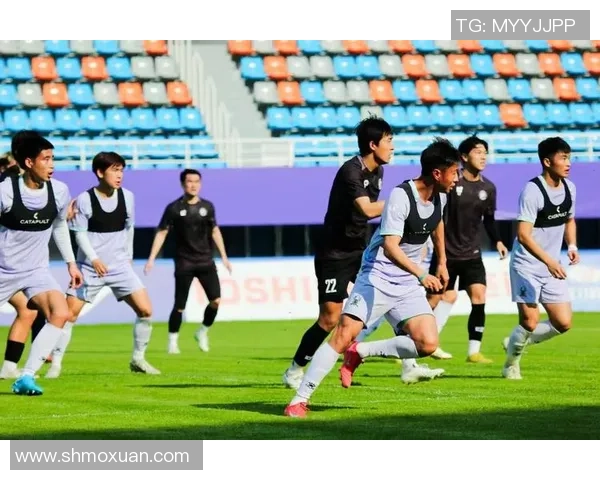 杭州足球队荣登速度排行榜第一名引发热议与关注