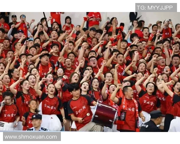 南京排球队技术争议引发热议球迷观点各异讨论激烈