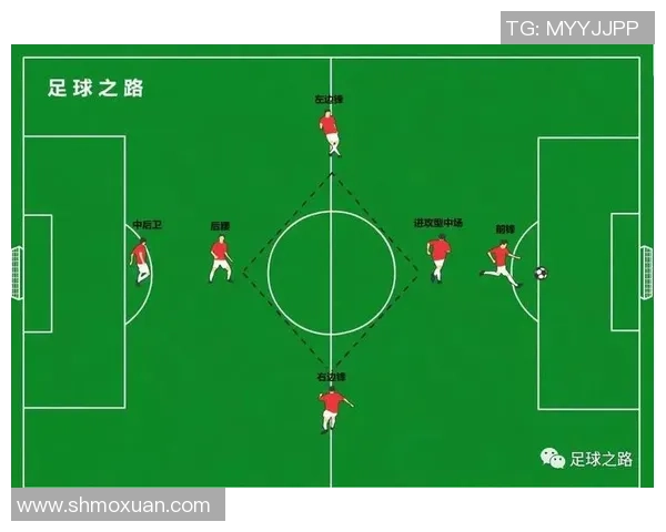 南京足球队运营模式解析与未来发展展望